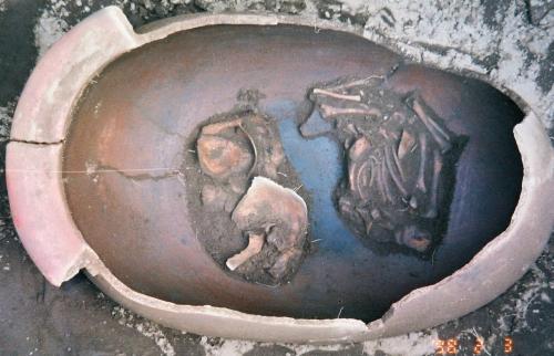 Infant skeleton in burial urn